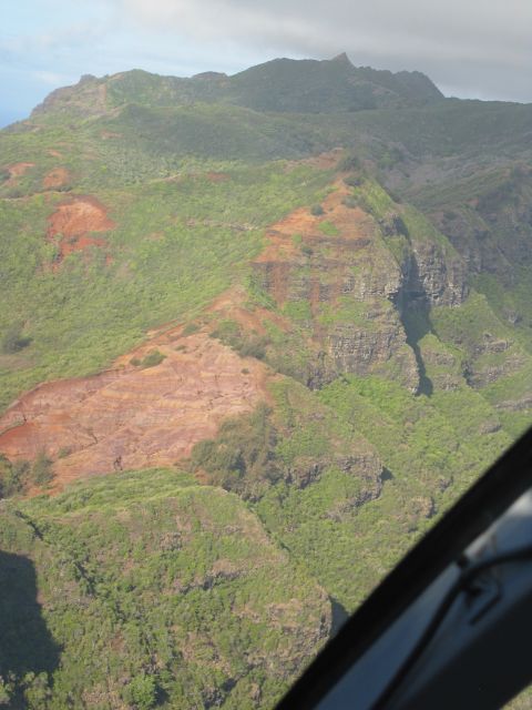 IMG 0332 copy